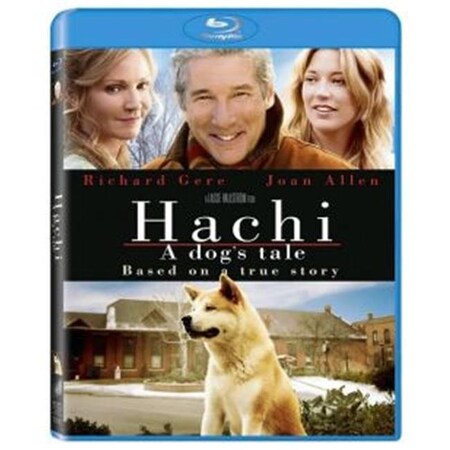 Hachi - A Dog
